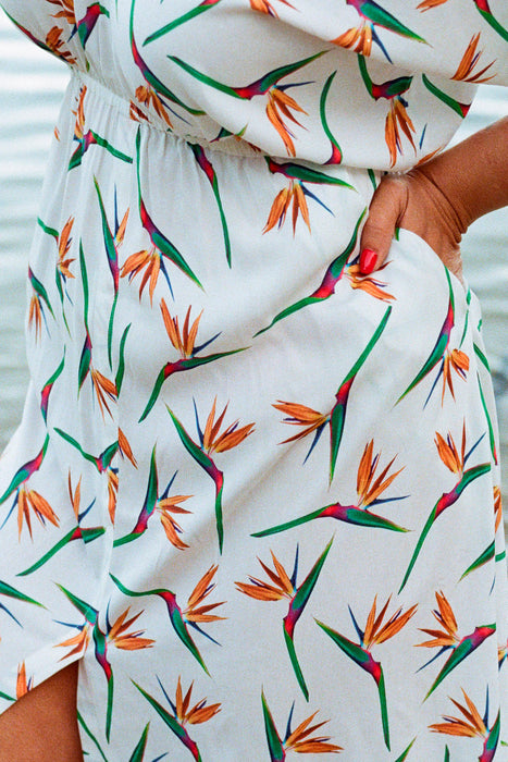 'Gabrielle' Dress - Strelitzia