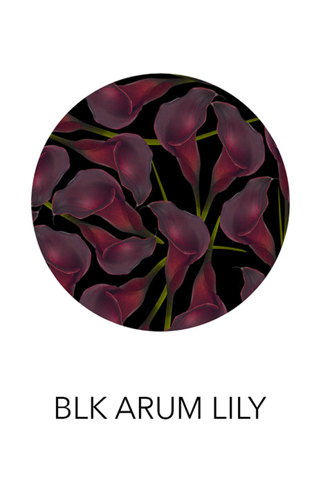 'Gabrielle' Dress - Green Aloe