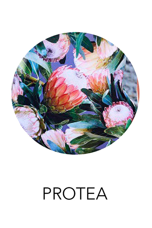 'Gabrielle' Dress - Strelitzia