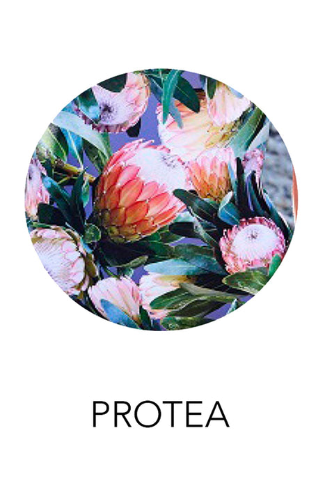 'Gabrielle' Dress - Protea