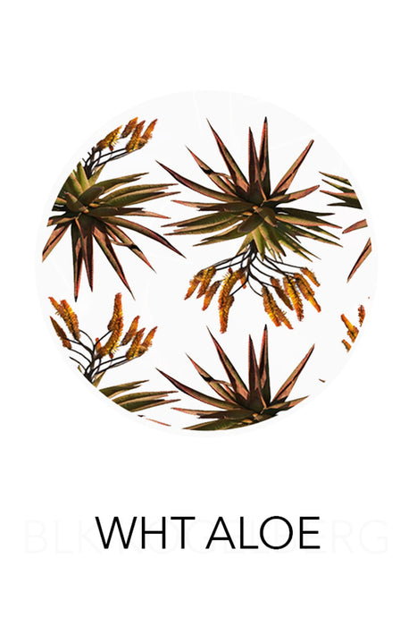 'Gabrielle' Dress - Strelitzia