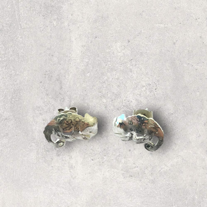 Chameleon Studs