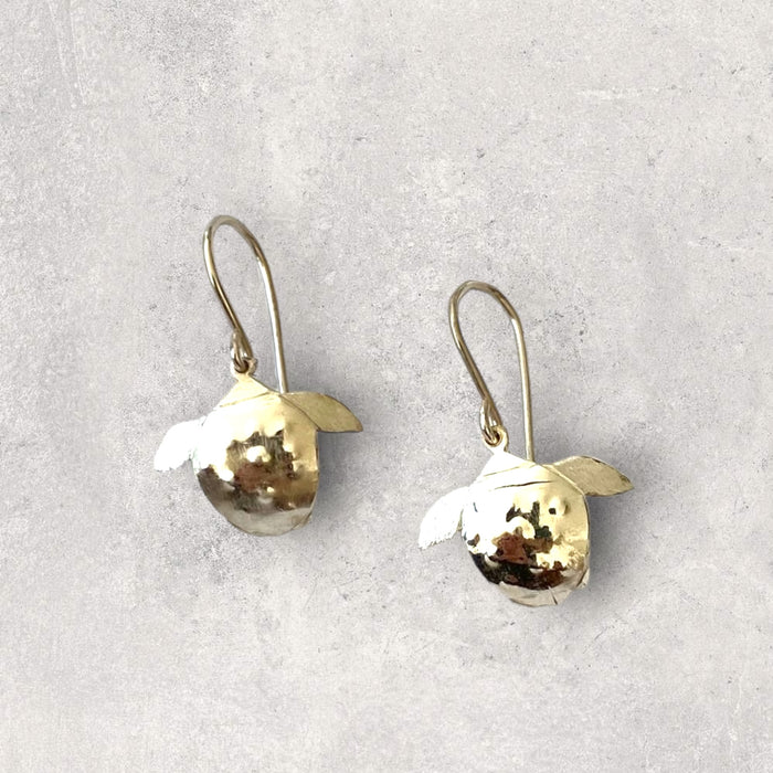 Turtle Earrings